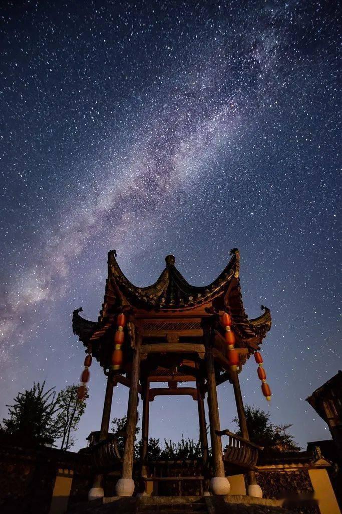 美妙森林找不同